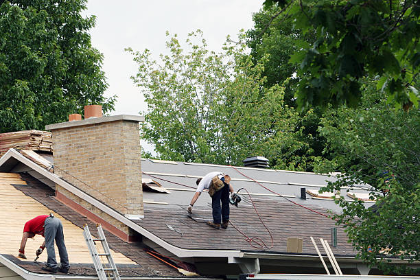 Best Metal Roofing Contractor  in Crest Hl, IL