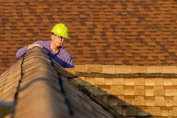 Roof Gutter Cleaning in Crest Hill, IL